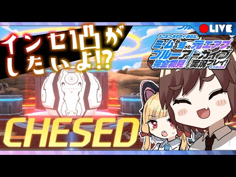 🔴【ブルアカLIVE】インセ１凸出来るかな！？総力戦ケセドチャレンジ配信【ん、私とも初見でプレイすべき。  #47】