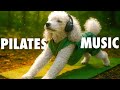 2025 Pilates Music Video Music Playlist For Pilates Workouts Yoga 