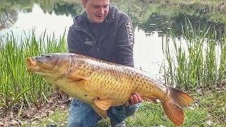 Трофейный Карп 19 килограмм на бойлы. Рыбалка на карпа на озере. Трофейный Карп 19 килограмм на бойлы. Рыбалка на карпа на озере.