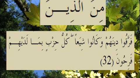 القران الكريم سورة الروم الأية 32.wmv