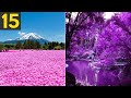 15 Most Beautiful Gardens in the World