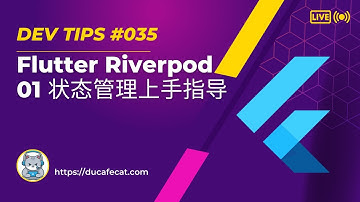 Flutter Riverpod 状态管理上手技巧分享 | 独立开发猫哥