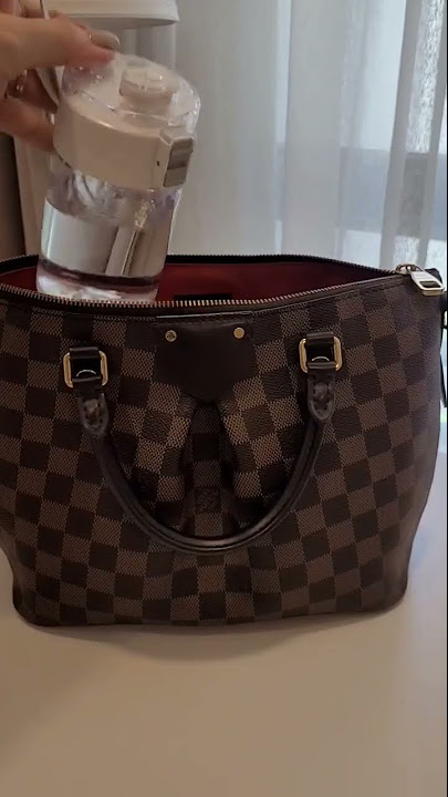 Comparison, Louis Vuitton Speedy 30 vs Siena MM