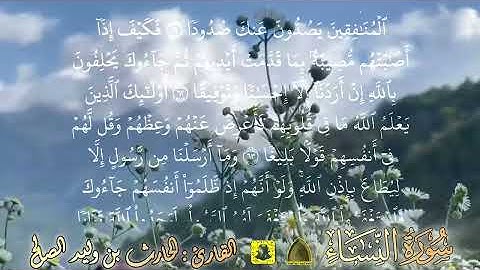 يا أيها الذين آمنوا أطيعوا الله وأطيعوا الرسول وأولي الأمر منكم ..  من سورة النساء || الحارث الصالح 