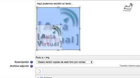Insertar imágenes en actividad Moodle