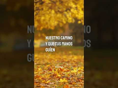 Oración para el