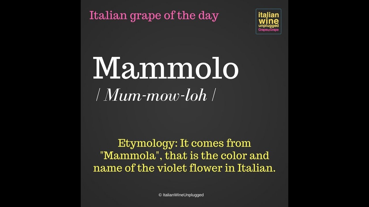 Mammolo