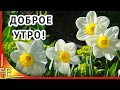 Доброе утро! ВСЕ БУДЕТ ХОРОШО ты только верь! Стихи о жизни