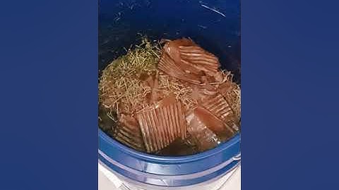 Getting Started with Vermicomposting