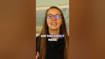 vooraf gekwalificeerde klanten voor gratis gesprekken