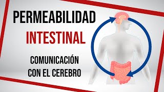 Así afecta la MICROBIOTA al SISTEMA NERVIOSO CENTRAL   | Mar Alonso |