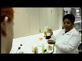 The Science Behind Blood Donation and Platelet Production