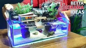 Create Your Own Betta Fish Tank In The Paludarium Waterfall Diorama Style – AQUARIUM DECORATION