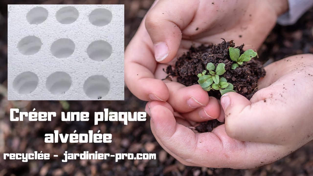 Plaque alvéolée: Créer une plaque alvéolée pour les semis 100% recyclée 