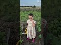 The little kids watering the garden #countrylife #countrykids #garden #homestead #usa