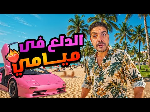 الدلع والمرح في ميامي آمريكا  