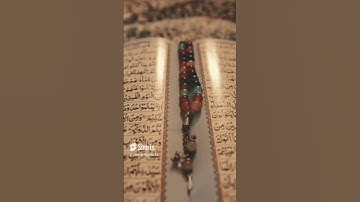 من أجمل ما قرأ القارئ أمين موسى. ج٣٥