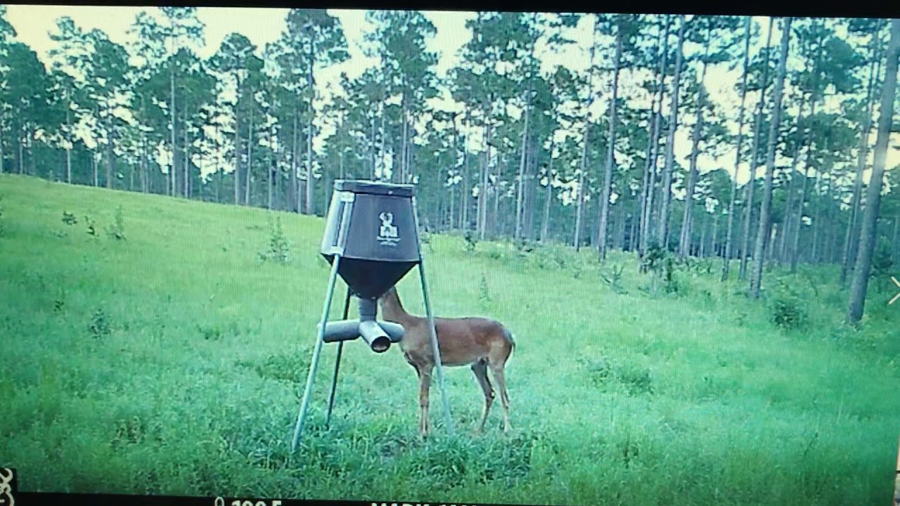 Sell Me On A Boss Buck 200lb Gravity Feeder Page 4 Gon Forum
