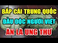 BS CÁNH BÁO: BẮP CẢI Trung Quốc ĐẦU ĐỘC Cả Việt Nam Ăn Là UNG THƯ, Có Ngày CHẾTT ĐỘT TỬ