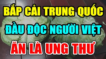 BS CÁNH BÁO: BẮP CẢI Trung Quốc ĐẦU ĐỘC Cả Việt Nam Ăn Là UNG THƯ, Có Ngày CHẾTT ĐỘT TỬ