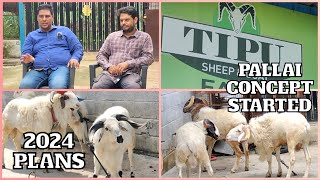 Pallai Concept Started | 2024 Plans | Limited | Tipu Sheep & Goat Farm Bangalore - 7353790019