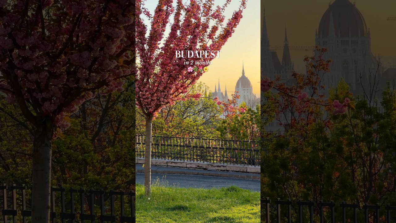 This is your sign to book a trip to Budapest 🌸🌿 Send this to someone you’d like to take here 🇭🇺