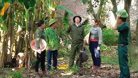 Timelapse – Harvesting 1,000+ Corns | Giant Python Invades and Approaches the Turkey Flock (720P_HD)