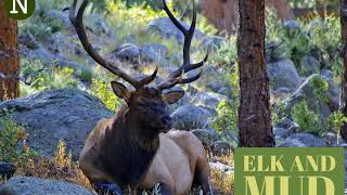 Episode 9 - Elk & Mud