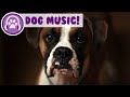 Relaxing Music for Dogs! The Most Gentle and Soothing Music to Help Your Dog Sleep!