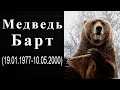 Медведь Барт. Краткая биография медведя-киноактера