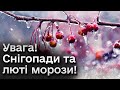 🌨️❄️ Україну засипле снігом! Тріщатимуть морози! Прогноз погоди на січень