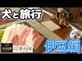 ワンコと初旅行！愛犬の駅で遊び愛犬お宿で一泊する！