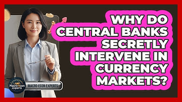 Why Do Central Banks Secretly Intervene In Currency Markets? - Macroecon Experts