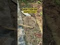 Cara Bakar Sekam Nyaris Tanpa Asap