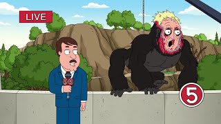 Family Guy - A gorilla sneaks out of the zoo