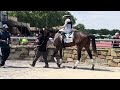 Queen cadence shows them how its done with a gate to wire win at parx racing