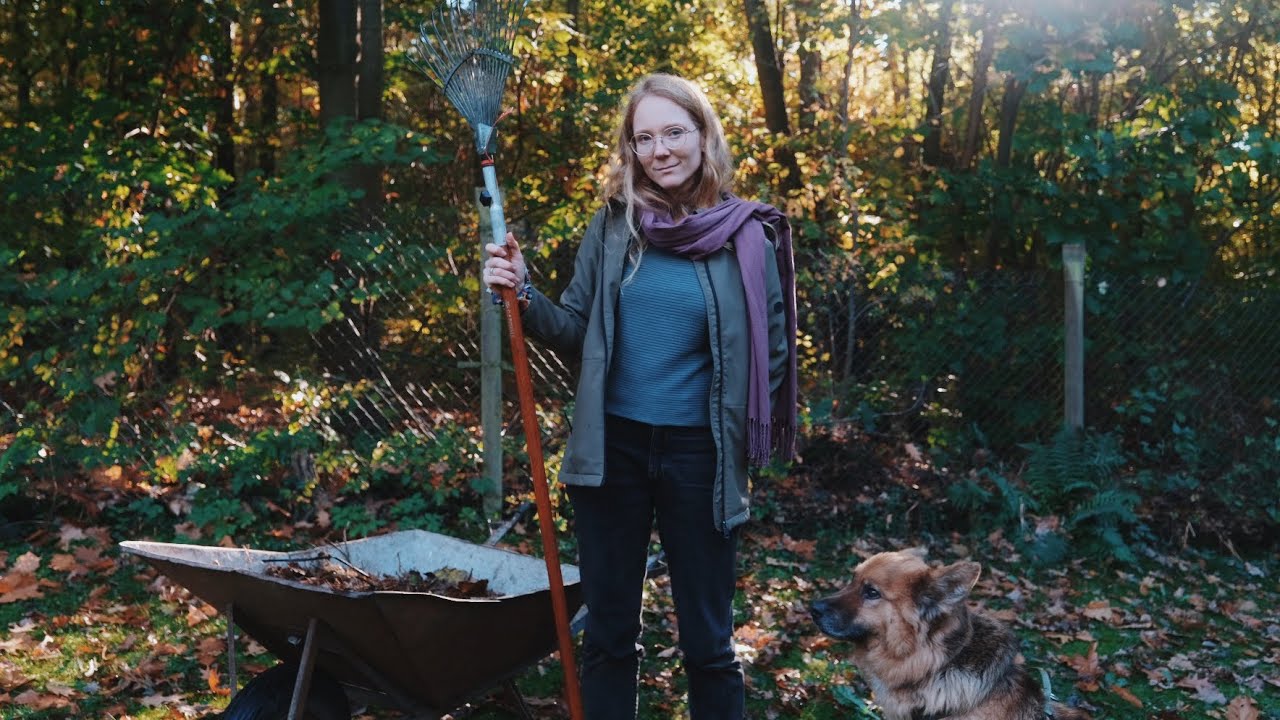 Die ersten Herbsttage am Haus im Wald 🍂