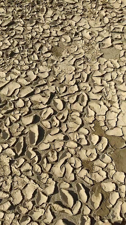 #youtubeshorts #nature #video #ytshorts #viral #viralvideo #viralshorts