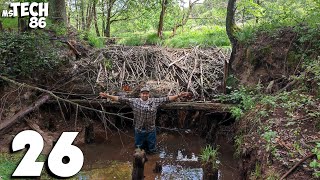 One Big Beavers Dam  Manual Beaver Dam Removal No.26