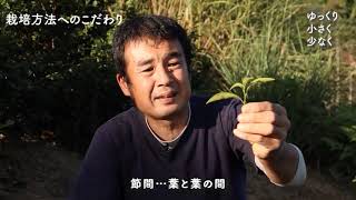 【オーガニックライブ2020】月ヶ瀬健康茶園 in 奈良県月ヶ瀬尾山