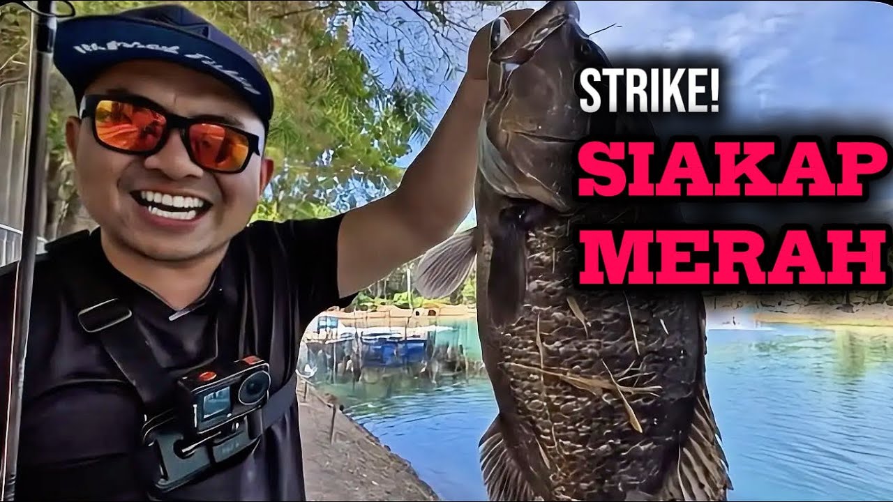 Datang Santai Je… Sekali Siakap Merah Buat Hal!