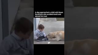 This Gentle Dog Earned His Trust ❤️