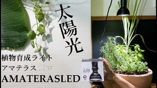 【植物育成ライト】アマテラス10wをレビューしていくっ（太陽光に限りなく近いLED、アクアリウムにも抜群の相性！水草に良い光、見た目もかっこいい）