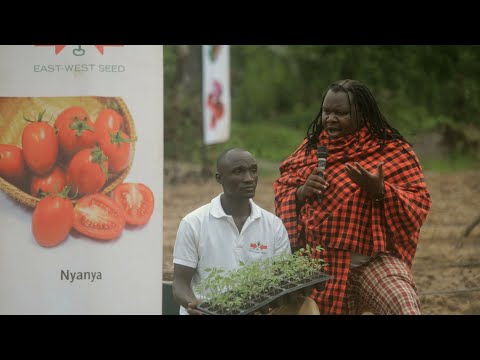 Video: Kupanda Mizuna Greens - Jifunze Jinsi ya Kutunza Mizuna Greens