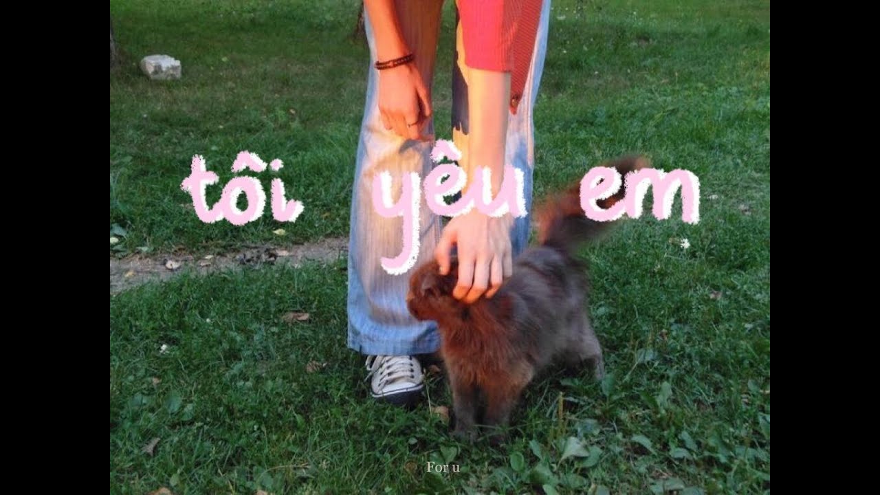 Video YouTube