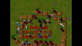 Tibia Silvera Mayhem Party Dueling