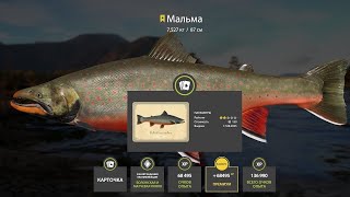 📢СТРИМ РР4🔥ВЕЧЕРНЯЯ ПРОГУЛКА ПО ВОДОЕМАМ🔥РУССКАЯ РЫБАЛКА 4