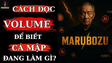 Bí Quyết Trading Thầy Tôi Truyền Lại: Cách Nhìn Volume Để Biết Cá Mập Đang Làm Gì!