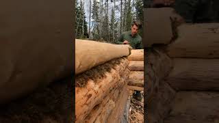 Building A Log Cabin Alone ep 1