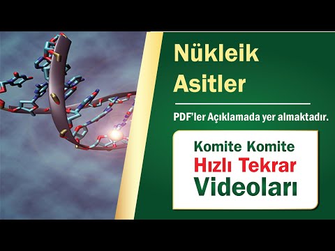 Komite Komite Hızlı Tekrar I Nükleik Asitler